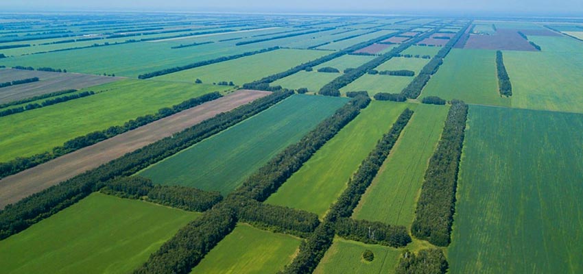 Органический рынок России в 2020 г.. Фото